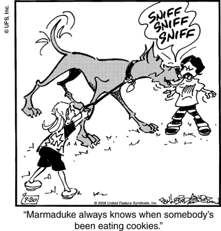 marmaduke
